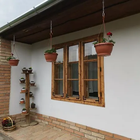 Vendeghaz *