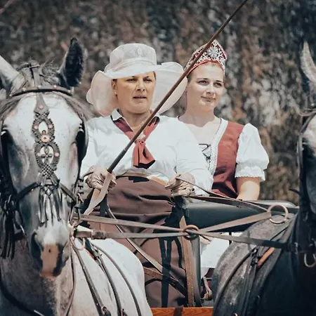 דירה Vendeghaz